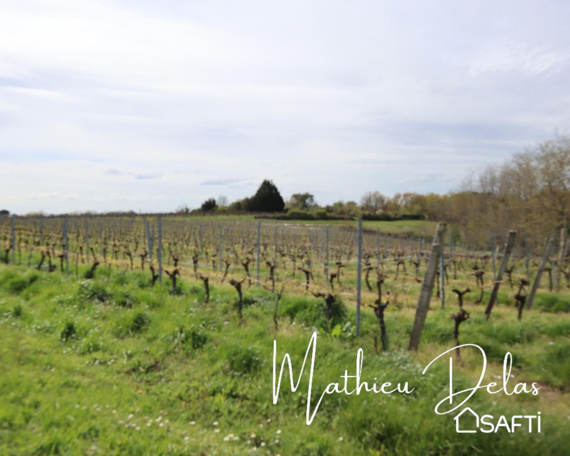 Terrain Agricole — photo 2