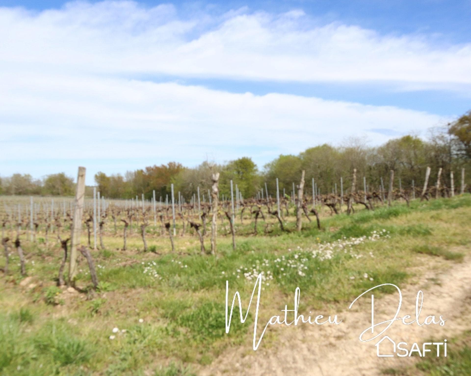Terrain Agricole