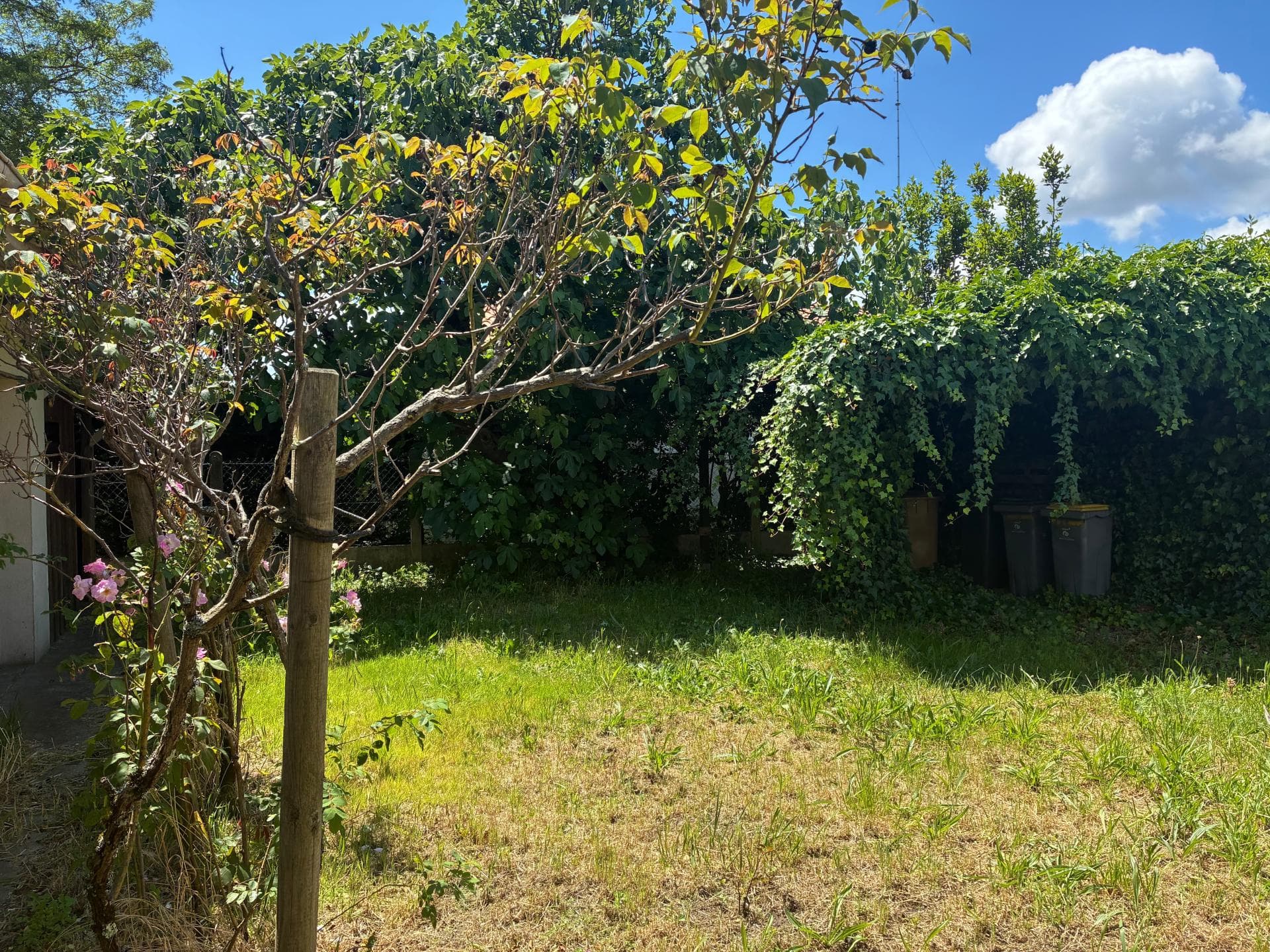 Maison de Ville avec Jardin au coeur de Gujan — photo 12