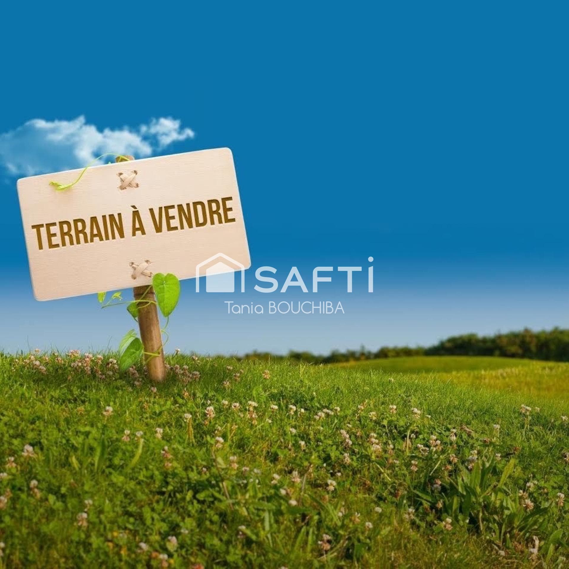 Opportunité à saisir ! — photo 2