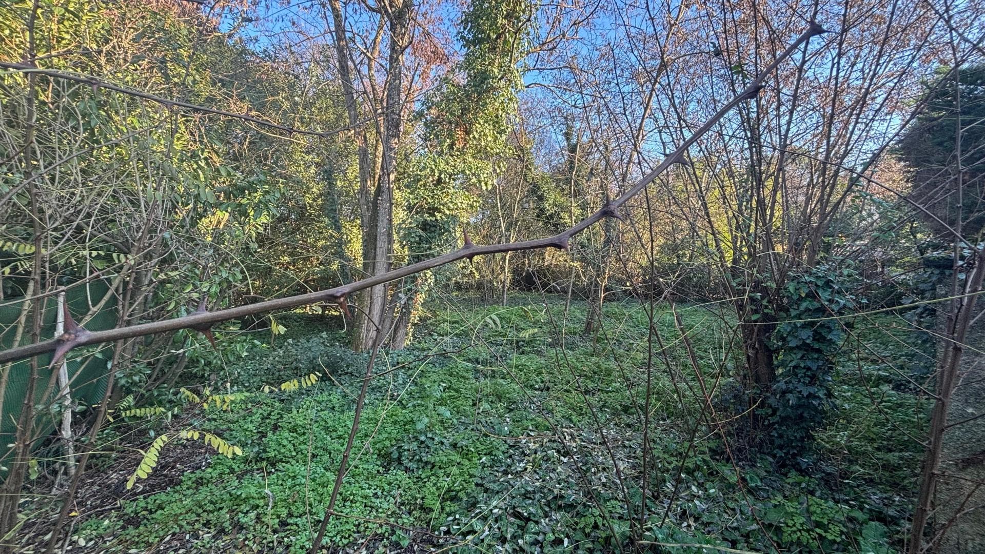 Terrain à construire dans un quartier prisé — photo 2