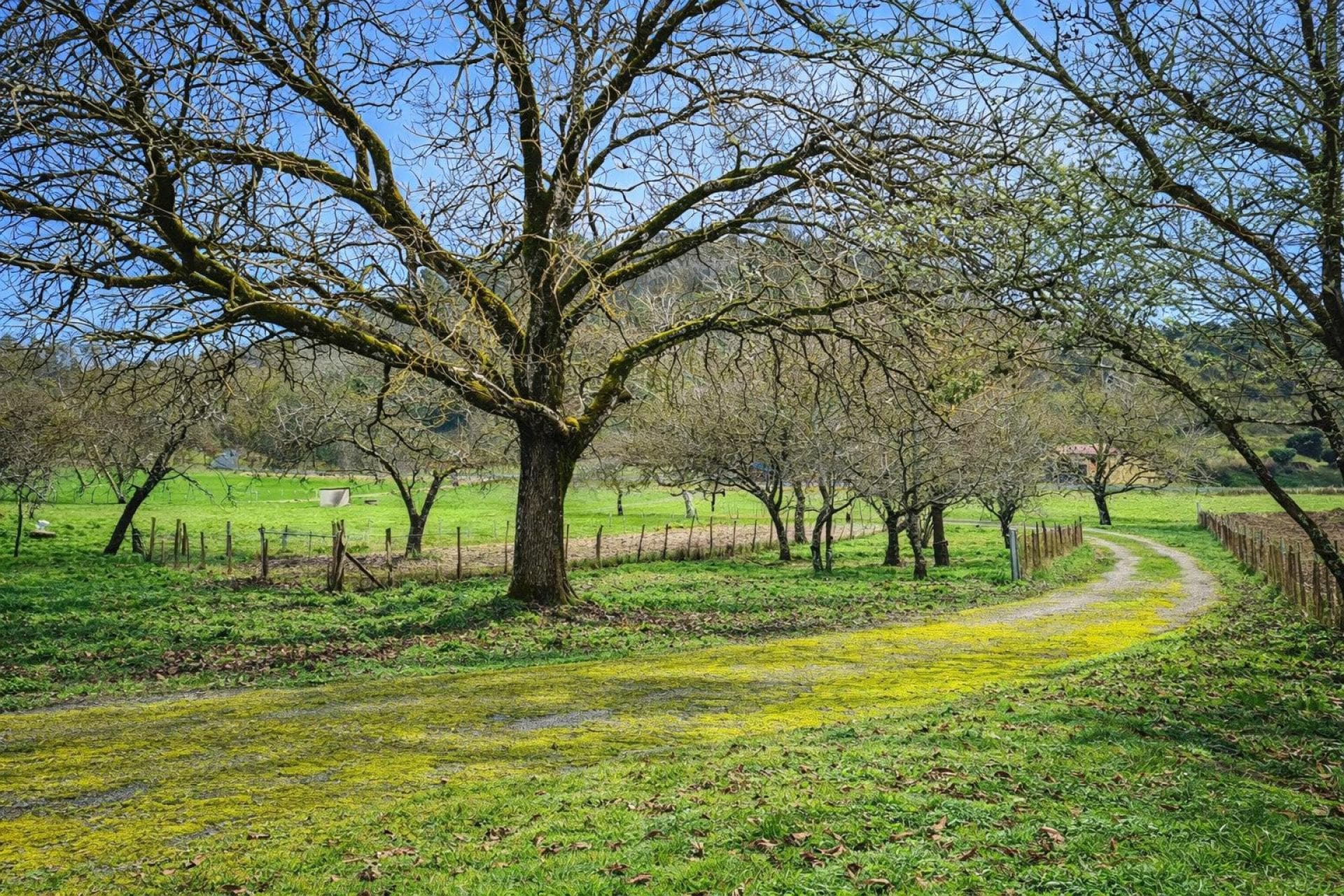 Charmant corps de ferme au calme — photo 5