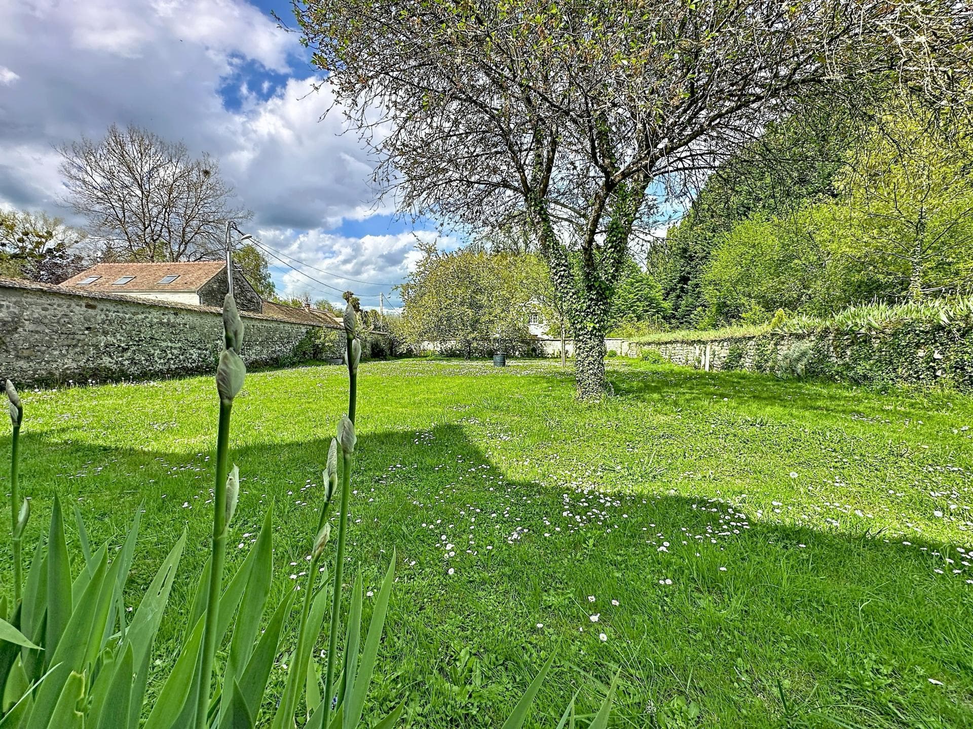 TERRAIN CONSTRUCTIBLE AU CŒUR DE NOISY-SUR-ÉCOLE — photo 2